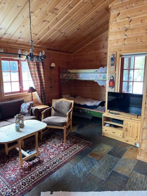 Willa Hytte I Tuddal Hjartdal Zewnętrze zdjęcie
